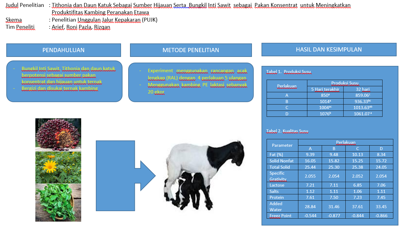 TITHONIA DAN DAUN KATUK SEBAGAI SUMBER HIJAUAN SERTA BUNGKIL SAWIT SEBAGAI PAKAN KONSENTRAT UNTUK MENINGKATKAN PRODUKTIFITAS KAMBING PERANAKAN ETAWA